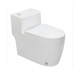 2025 new One Piece Toilet