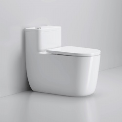 2025 new One Piece Toilet