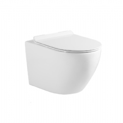 HAPLOPORE Single Hole Wash HEDG Wall-Hung Toilet