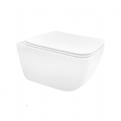 HAPLOPORE Single Hole Wash HEDG Wall-Hung Toilet
