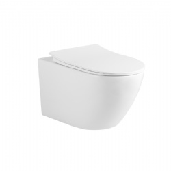 HAPLOPORE Single Hole Wash Wall-Hung Toilet