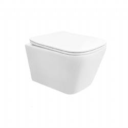 HEDGE WASHING Wall-Hung Toilet