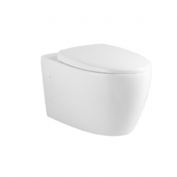 Round-shaped Dual Flushing Holes HEDG Wall-Hung Toilet