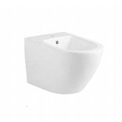 Samiyah Wall hung bidet