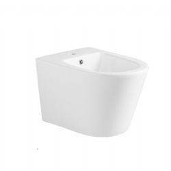 Samiyah Wall hung bidet