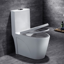 new design hot sale in Pakistan ceramic toilet wc