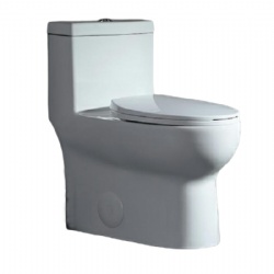 Siphon One Piece Toilet