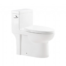 Siphon One Piece Toilet