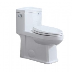 Siphon One Piece Toilet