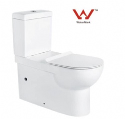 Siphon One Piece Toilet