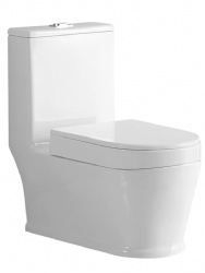 Sit-and-Squat Toilet