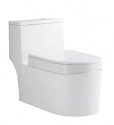 Sit-and-Squat Toilet