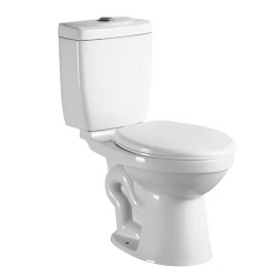Split Siphonic Toilet