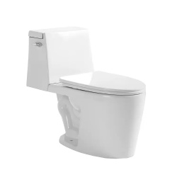 Split Siphonic Toilet
