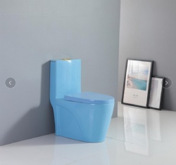 color color toilet