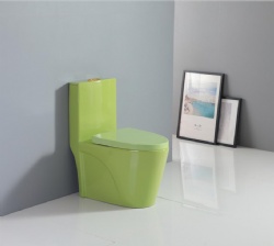 color color toilet