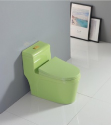 color color toilet-2