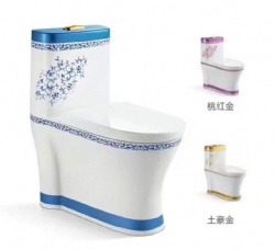 color color toilet-3