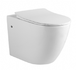 Straight flush the hole Wall-Hung Toilet